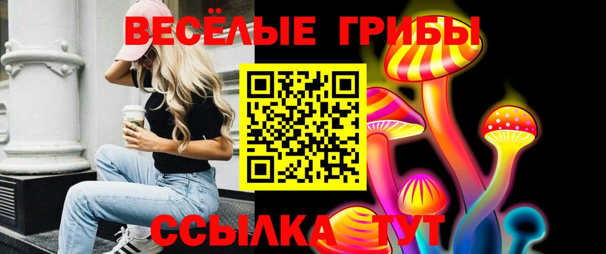 Псилоцибиновые грибы мухоморы  купить   Майкоп  Вход с VPN 