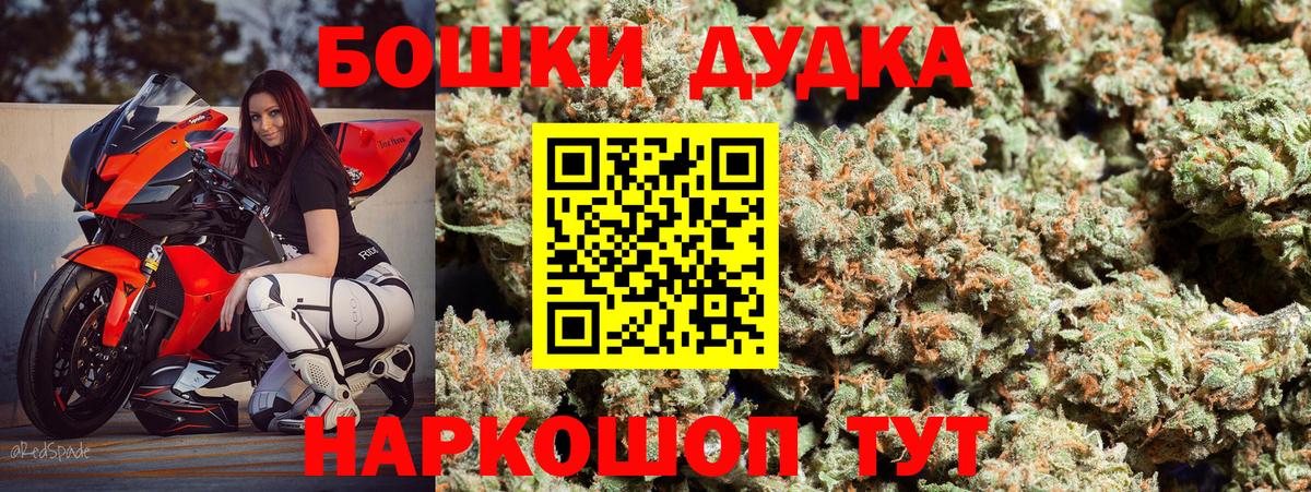 Каннабис планчик Майкоп